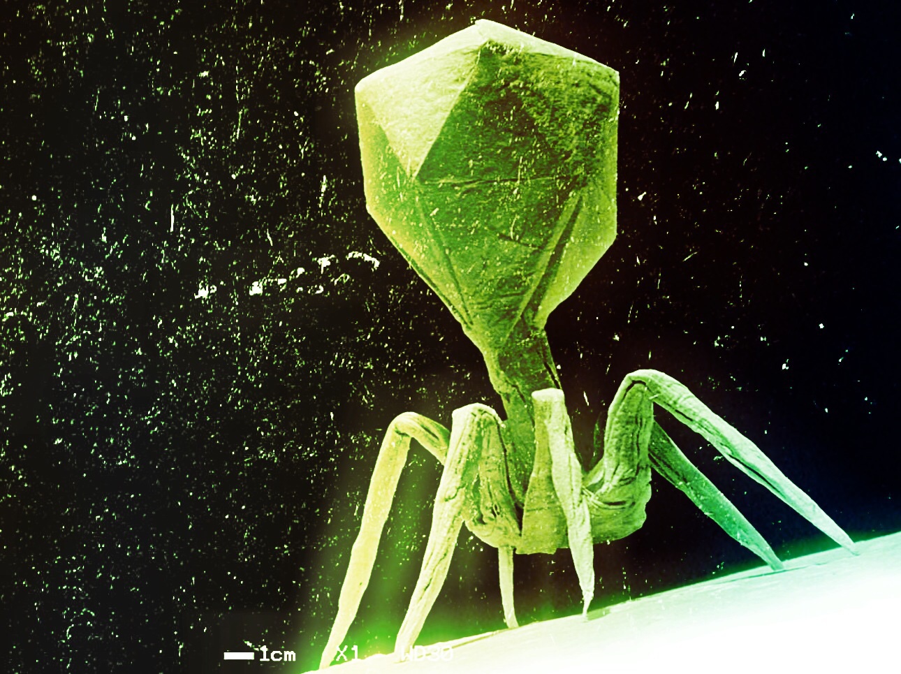 HackMD profile picture for @Idea