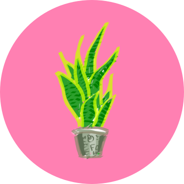 HackMD profile picture for @obsolete