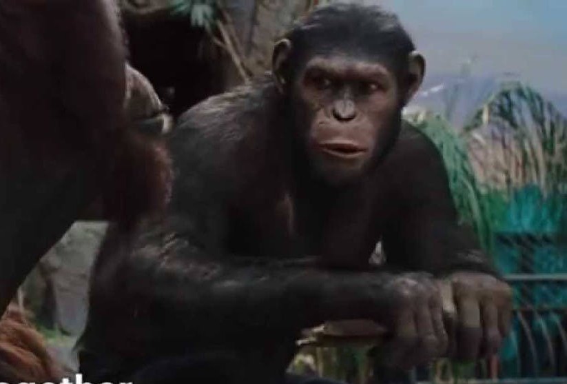 HackMD profile picture for @apes