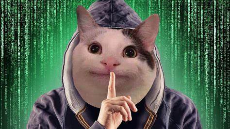 HackMD profile picture for @MarkG